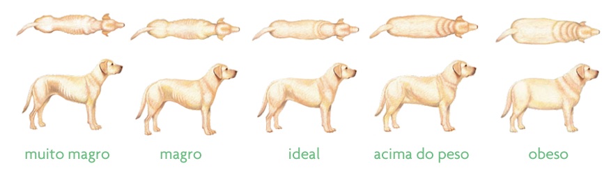 Tabela de Peso de Cães